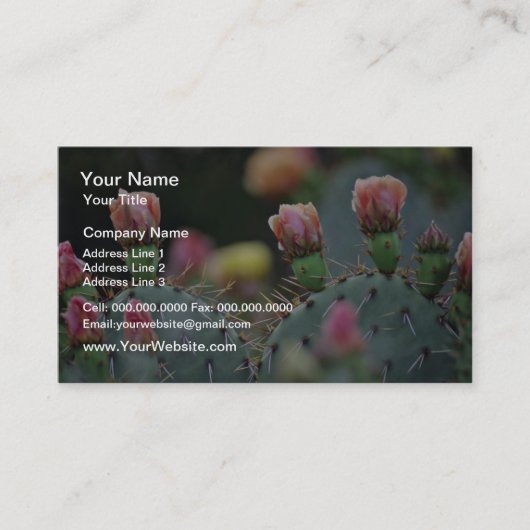 Beavertail Cactus Roze bloemen Visitekaartje (Voorkant)