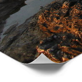 Beavertail Lighthouse Jamestown Rhode Island Poster (Hoek)