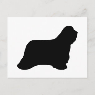 bebaard collie silhouet briefkaart