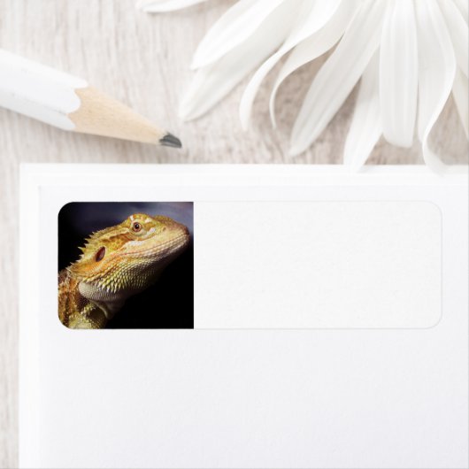 Bebaarde Dragon Head 2 Etiket (Insitu)