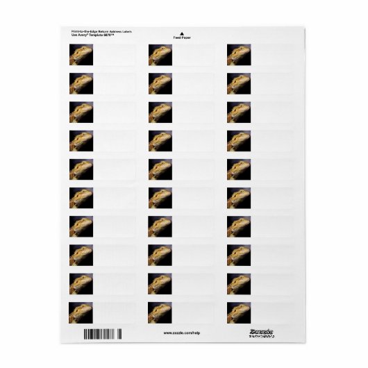 Bebaarde Dragon Head 2 Etiket (Full Sheet)