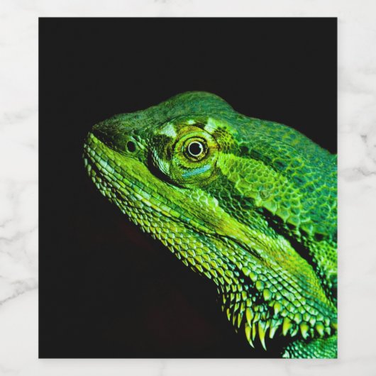 Bebaarde drakenhagedis wijn etiket (Enkel label)