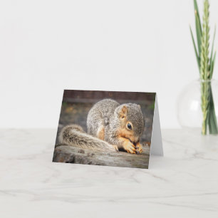 Bebe Squirrel Note Card Kaart