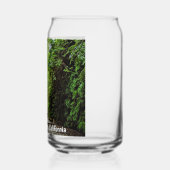 Bebost Wandelpad Fern Canyon Creek Blikvorm Glas (Links)