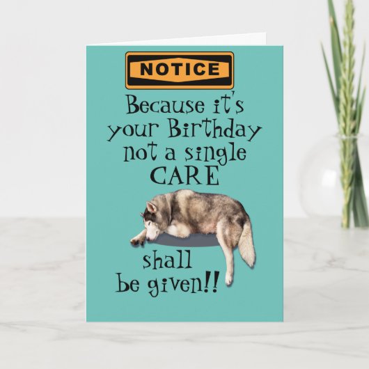 because it's your birthday not a care  bday card kaart (Voorkant)