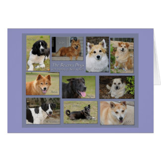 Becerra-honden - Gepersonaliseerd