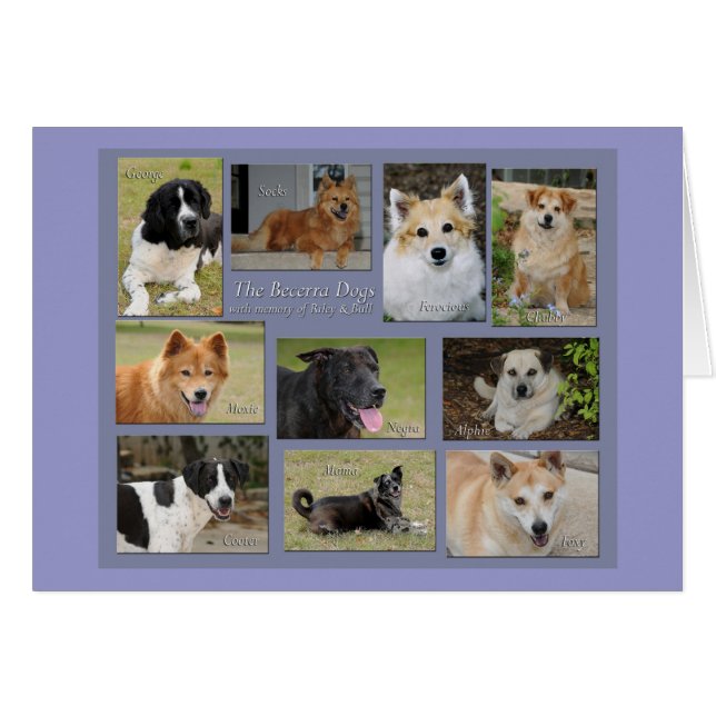 Becerra-honden - Gepersonaliseerd (Voorkant Horizontaal)