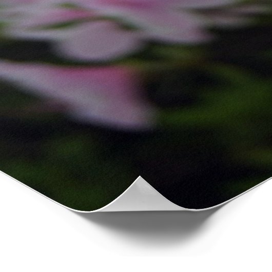 Beckoning Spring! Poster (Hoek)