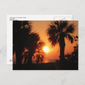 BECKYS PALM TREES 4-2-02 BRIEFKAART (Voorkant / Achterkant)