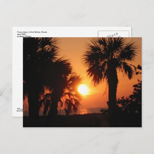 BECKYS PALM TREES 4-2-02 BRIEFKAART (Voorkant / Achterkant)