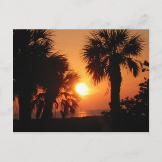 BECKYS PALM TREES 4-2-02 BRIEFKAART