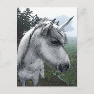 Becky's Unicorn Briefkaart