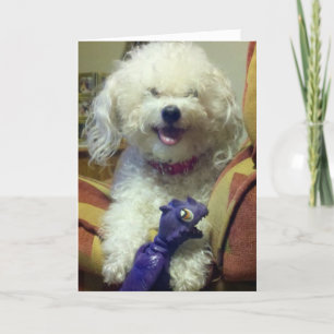 BECUZ "JE" IS 30. KAART