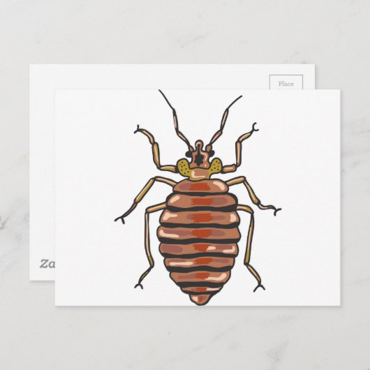 Bed Bug Sketch Briefkaart (Voorkant / Achterkant)