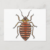 Bed Bug Sketch Briefkaart (Voorkant)