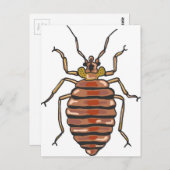 Bed Bug Sketch Briefkaart (Voorkant / Achterkant)