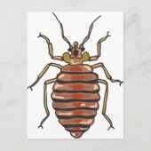Bed Bug Sketch Briefkaart (Voorkant)