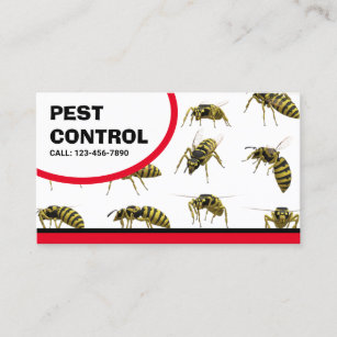 Bed Bugs Removal Pest Control Service Business Car Visitekaartje