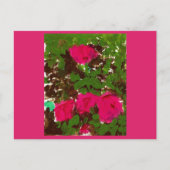 Bed of Roses  Briefkaart (Voorkant)