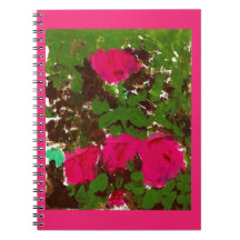 Bed of Roses Classic Notebook