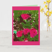 Bed of Roses Greeting Card Kaart (Gele Bloem)