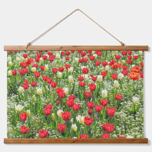 Bed of Tulips, Gorsedd Gardens, Cardiff, Wales. Hangend Wandkleed (Voorkant)
