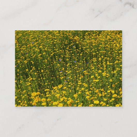 Bed of Yellow Daisies Visitekaartje (Voorkant)