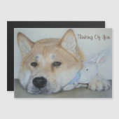 bedachtzame mooie acita hond die aan je denkt (Voorkant / Achterkant)
