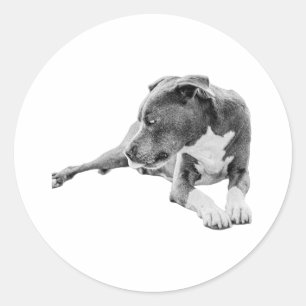 Bedachtzame ogen ronde sticker