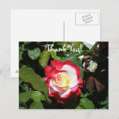 Bedank iemand met een Red Tipped Balboa Island Roo Briefkaart (Voorkant / Achterkant)