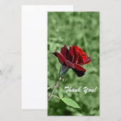 Bedankkaart (Voorkant / Achterkant)