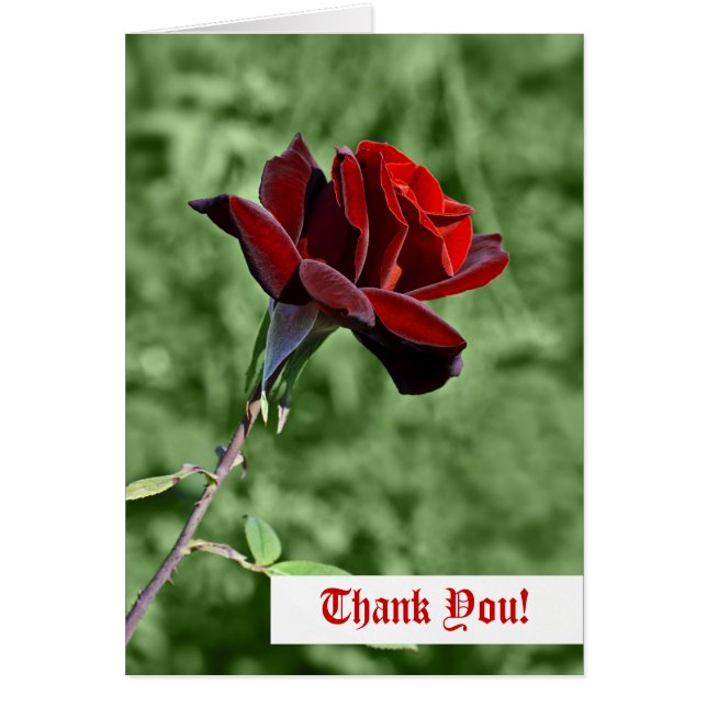 Bedankkaart (Voorkant)