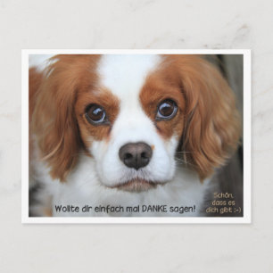 Bedankkaart - Dankeskarte Cavalier Charly Briefkaart