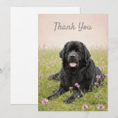 Bedankkaart met een Newfoundland hond Kaart (Voorkant / Achterkant)