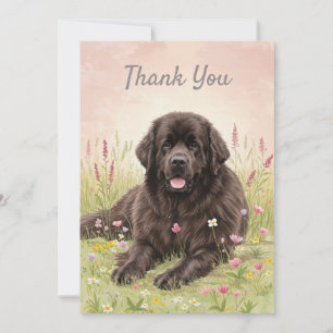 Bedankkaart met een Newfoundlander hond Kaart