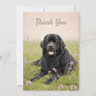 Bedankkaart met een Newfoundlandse hond Kaart