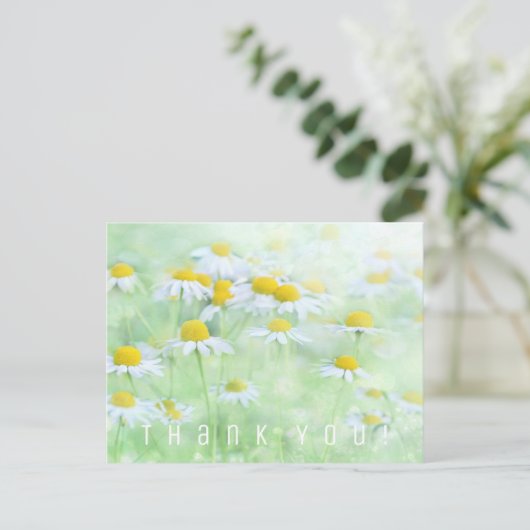 Bedankkaart. Veld met Madeliefjes. Briefkaart (Staand voorkant)