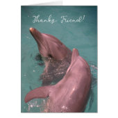 Bedankt aan de dolfijnen om samen te spelen (Voorkant)