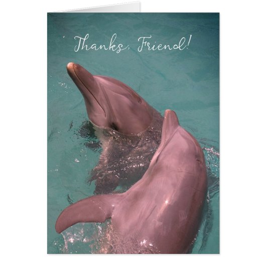 Bedankt aan de dolfijnen om samen te spelen (Voorkant)