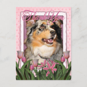 Bedankt - Australian Shepherd - Dustine Briefkaart