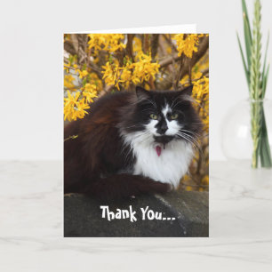 Bedankt Autumn Cat wenskaart