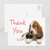Bedankt Basset Hound Greeting Post Kaart (Voorkant / Achterkant)