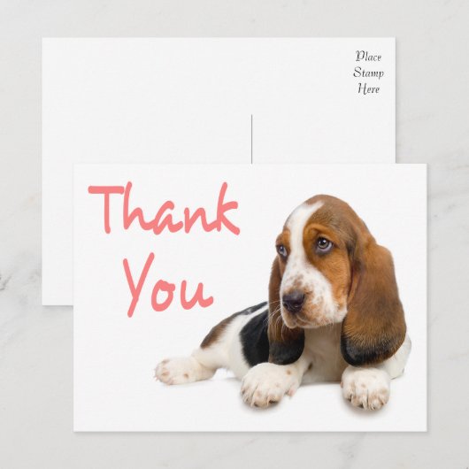 Bedankt Basset Hound Greeting Post Kaart (Voorkant / Achterkant)