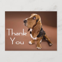 Bedankt Basset Hound Greeting Post Kaart
