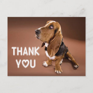 Bedankt Basset Hound Puppy Dog Brown Briefkaart
