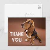 Bedankt Basset Hound Puppy Dog Brown Briefkaart (Voorkant / Achterkant)