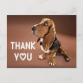 Bedankt Basset Hound Puppy Dog Brown Briefkaart (Voorkant)