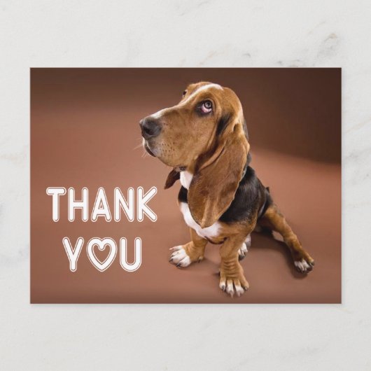 Bedankt Basset Hound Puppy Dog Brown Briefkaart (Voorkant)