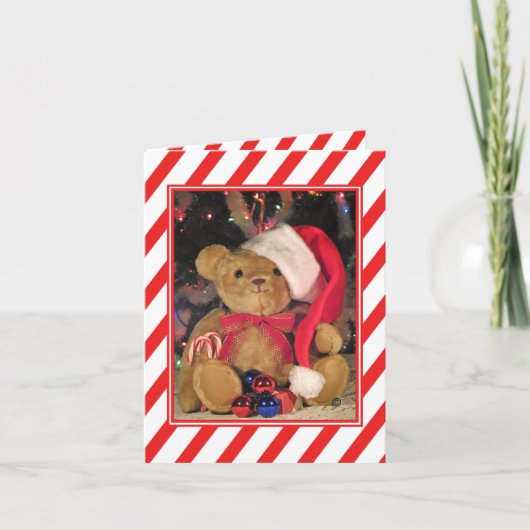 Bedankt Beary Veel Teddybeer Feestdagen Kaart (Voorkant)