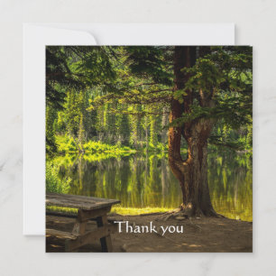 Bedankt Beauful Morning Light Sunrise Scripting